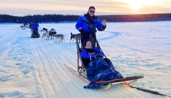 Dogsled